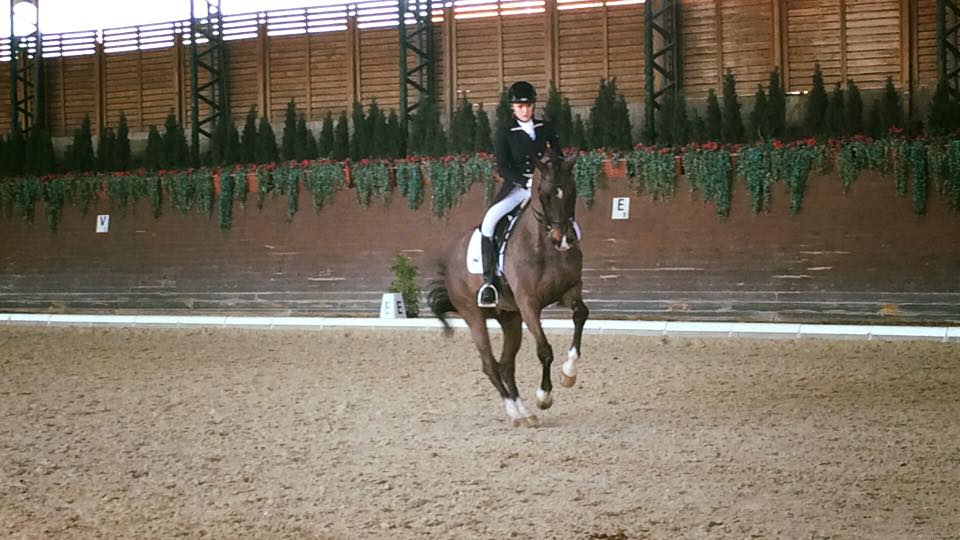 Doble Oro de Antonio Laiz y gran actuación de los jinetes y amazona navarros en el CP Nacional Doma Clásica 2** del Real Club Polo de Barcelona